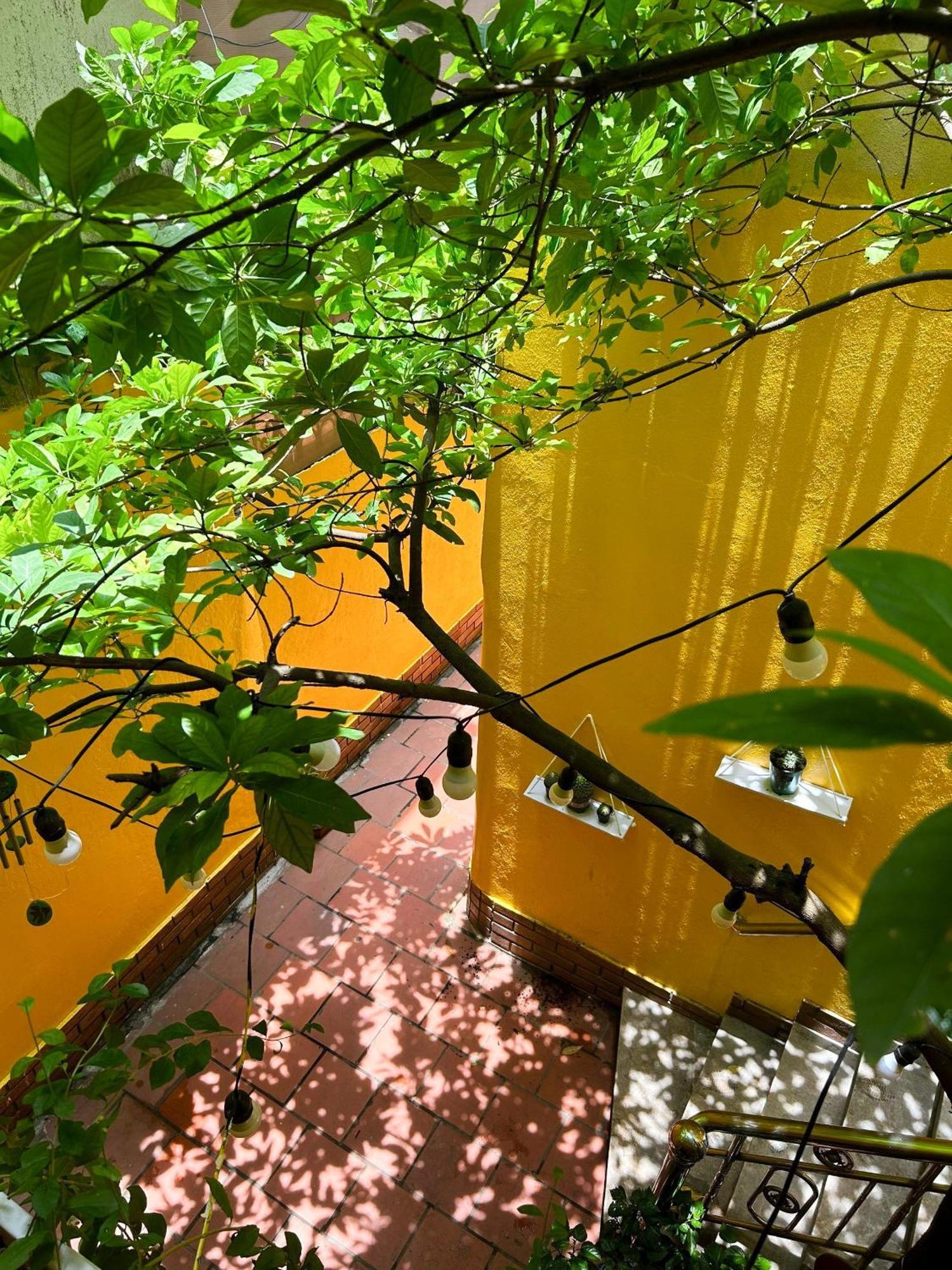Morri Homestay - Quan Thanh Hanoi Zewnętrze zdjęcie