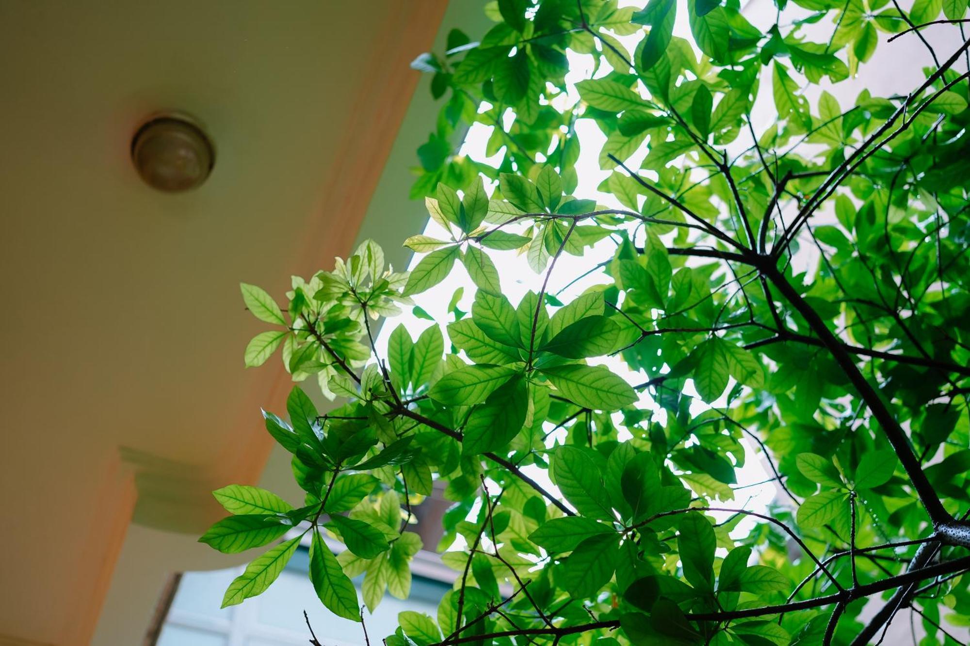 Morri Homestay - Quan Thanh Hanoi Zewnętrze zdjęcie