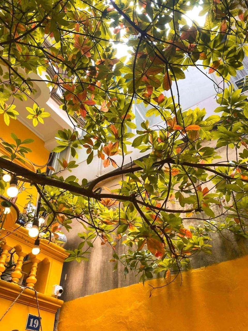 Morri Homestay - Quan Thanh Hanoi Zewnętrze zdjęcie
