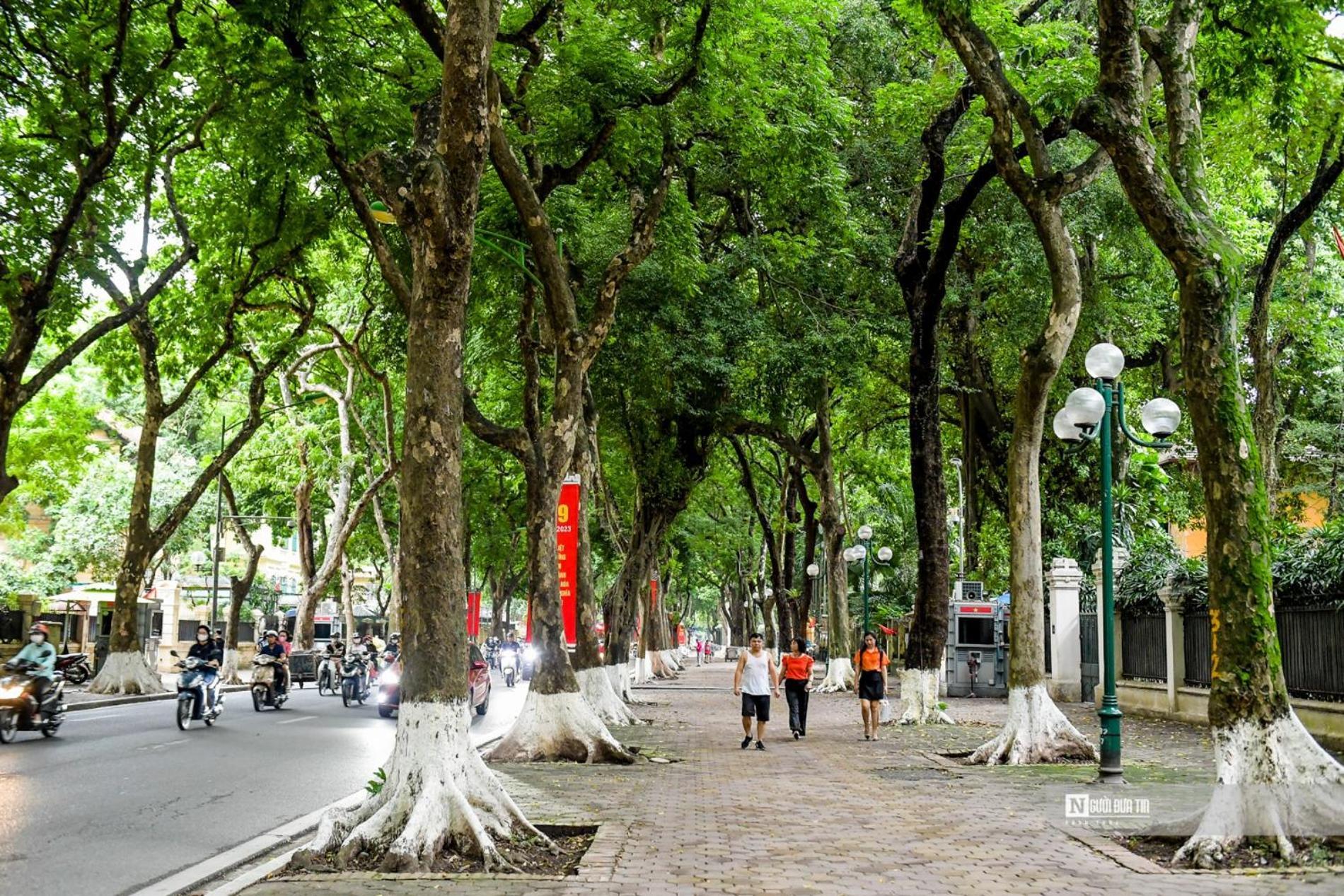 Morri Homestay - Quan Thanh Hanoi Zewnętrze zdjęcie