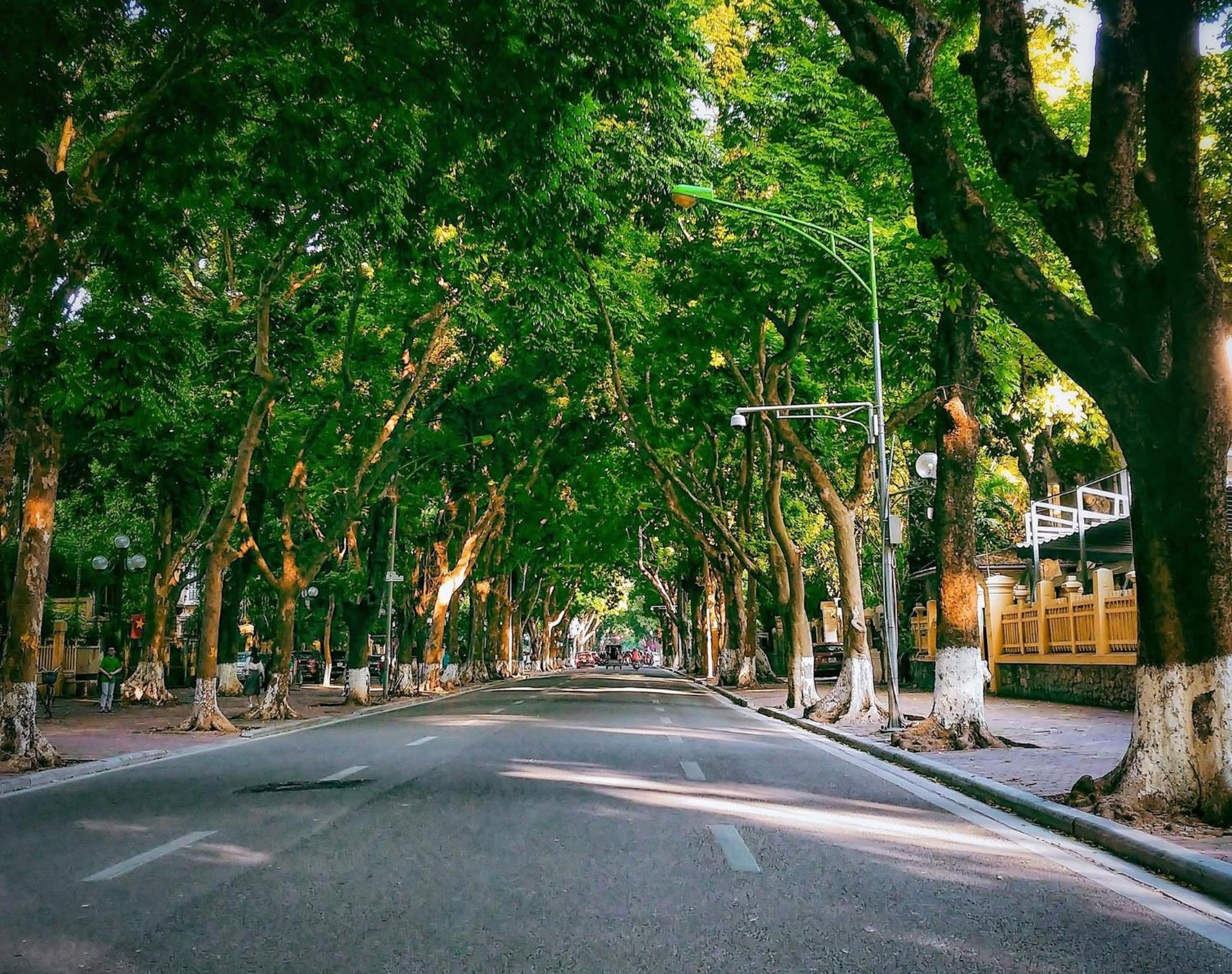 Morri Homestay - Quan Thanh Hanoi Zewnętrze zdjęcie
