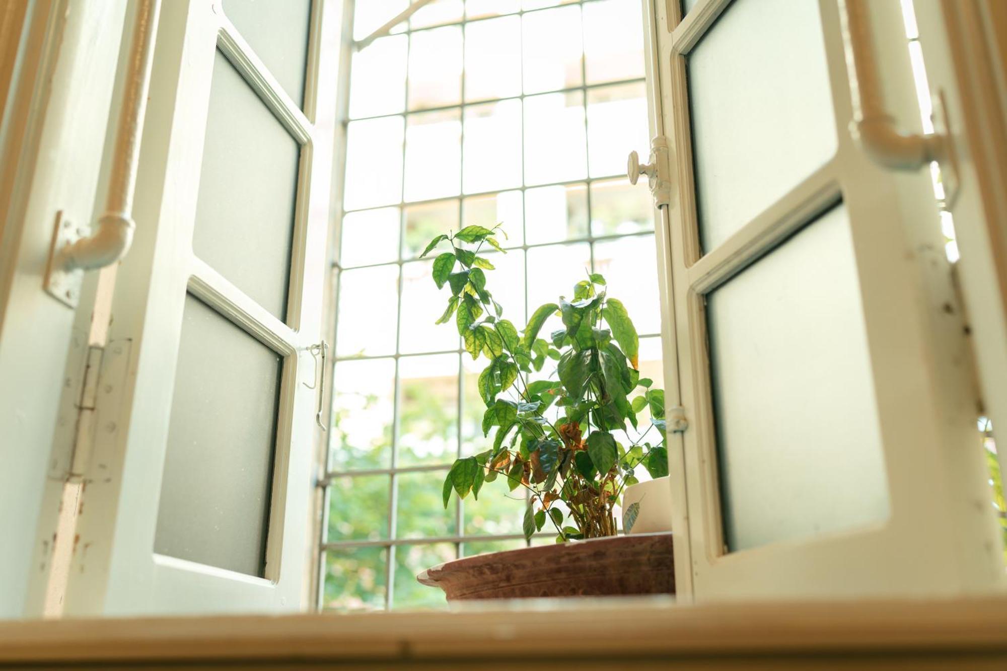 Morri Homestay - Quan Thanh Hanoi Zewnętrze zdjęcie